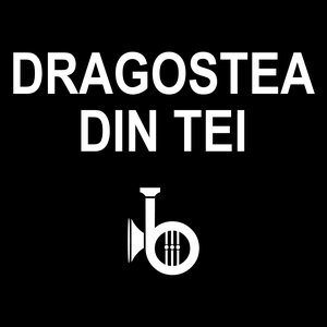 Dragostea Din Tei