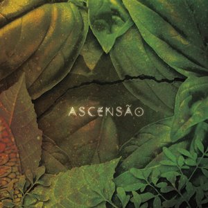 Ascensa​​​̃​​​o