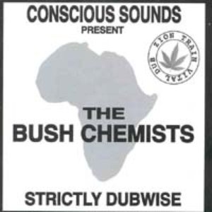 Strictly Dubwise