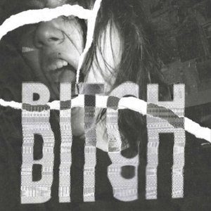 Bitch - Single