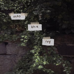 Into The Ivy