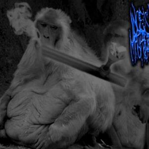 Incest Machine 的头像