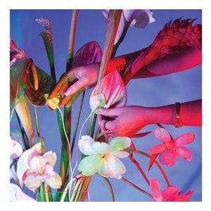 Sonic Blooming