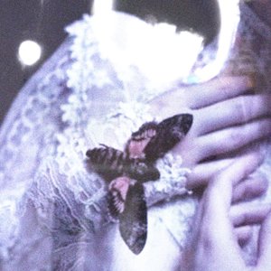 Dream Florescence