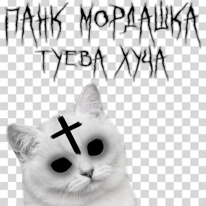 Avatar di панк мордашка туева хуча