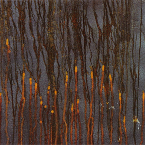 Scenes From a Galton's Walk cover
