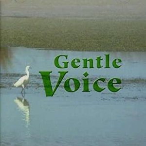 彩恵津子・松原正樹 他/Gentle Voice