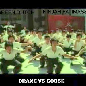 Crane vs Goose