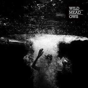 Wild Meadows