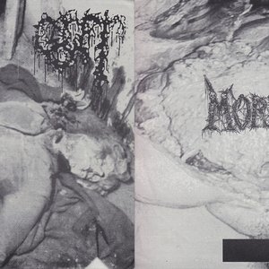 Gut / Morphea