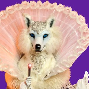 Image for 'The Masked Singer: Snow Fox'