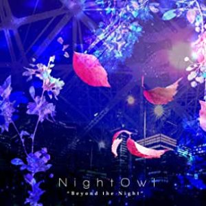 Beyond the Night