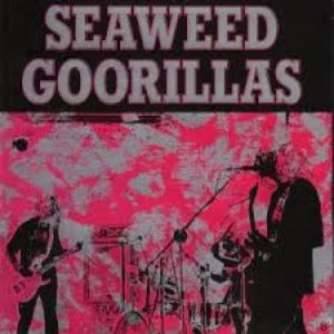 Seaweed Goorillas のアバター