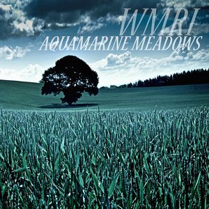 Aquamarine Meadows