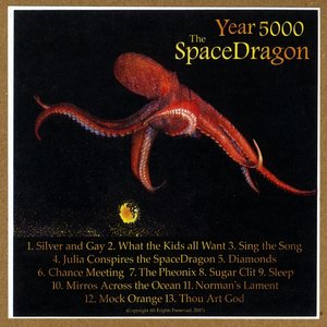 The SpaceDragon