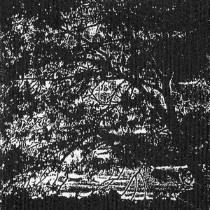 Journey Into the Depths of Night