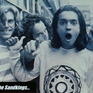 The Sandkings 的头像