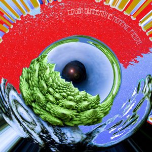 Morphic Fields