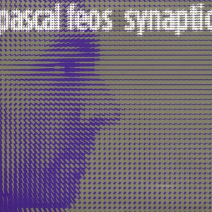 Synaptic cover