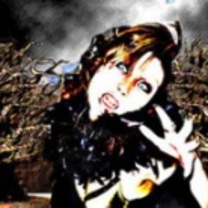 “D†VA”的封面