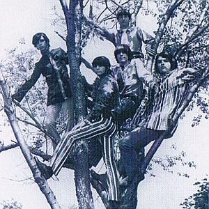 The Thrashing Butterflys Of Divine Happiness 的头像