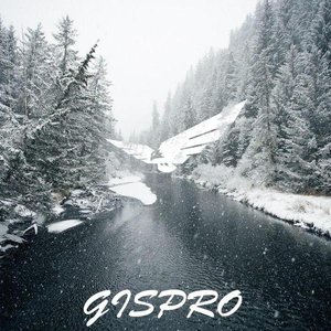 Gispro 的头像
