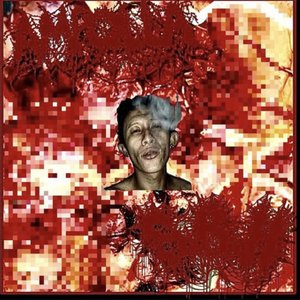 AMPOLLA // SERIOUS BODILY HARM (AMPOLLA SIDE)