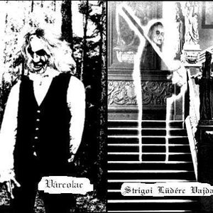 Avatar for Vlakolak
