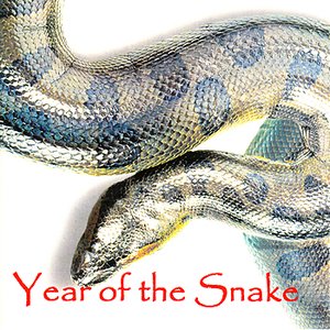 Year of the Snake