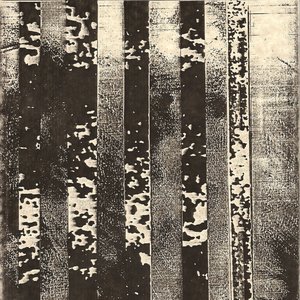 Black Thread 的头像