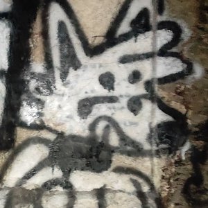DevTheFox 的头像