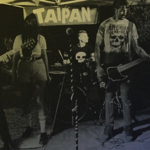 Taipan 的头像