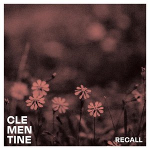 Recall