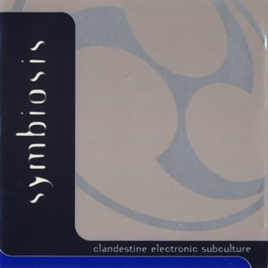 Clandestine Electronic Subculture