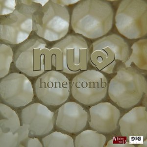 honeycomb