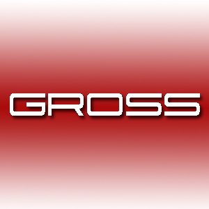 “djgross.pdj.ru - Maxim Gross”的封面