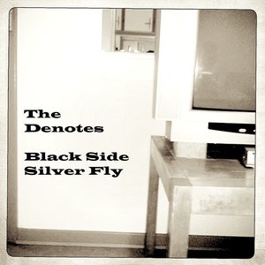 Black Side Silver Fly