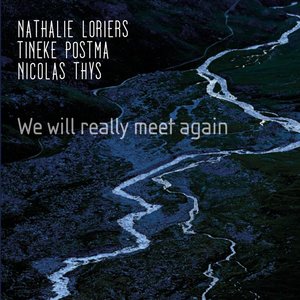 We Will Really Meet Again