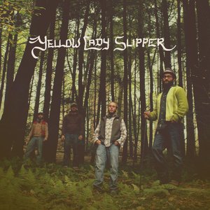 Yellow Lady Slipper 的头像