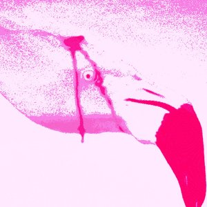 Аватар для Pink Flamingo