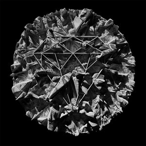 Chromosome - Single