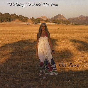 Walking Toward The Sun