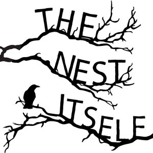 The Nest Itself