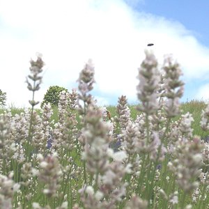 Everything Under the Sun