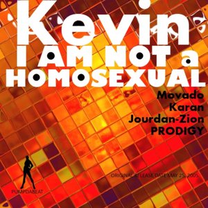 I Am Not a Homosexual