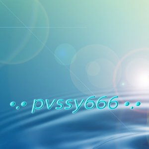PVSSY666 的头像