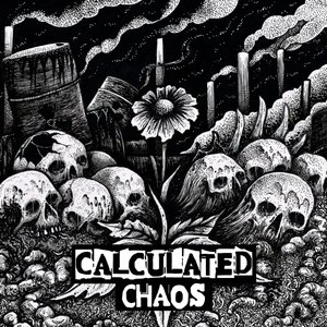 Image for 'Calculated Chaos'