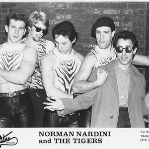 “Norman Nardini And The Tigers”的封面