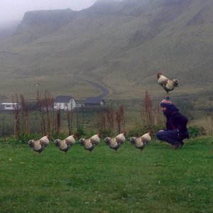 Făt Frumos 的头像