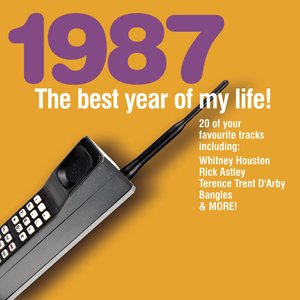 The Best Year of My Life: 1987